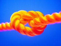 勞務(wù)派遣--全程、轉(zhuǎn)移、減員、項(xiàng)目及試用派遣